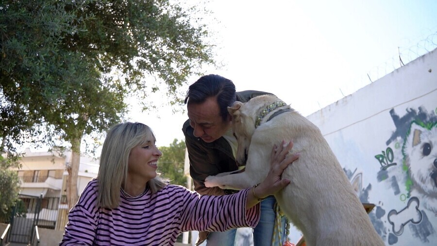 PET STORIES 06.06 5 22a80 fb8f3