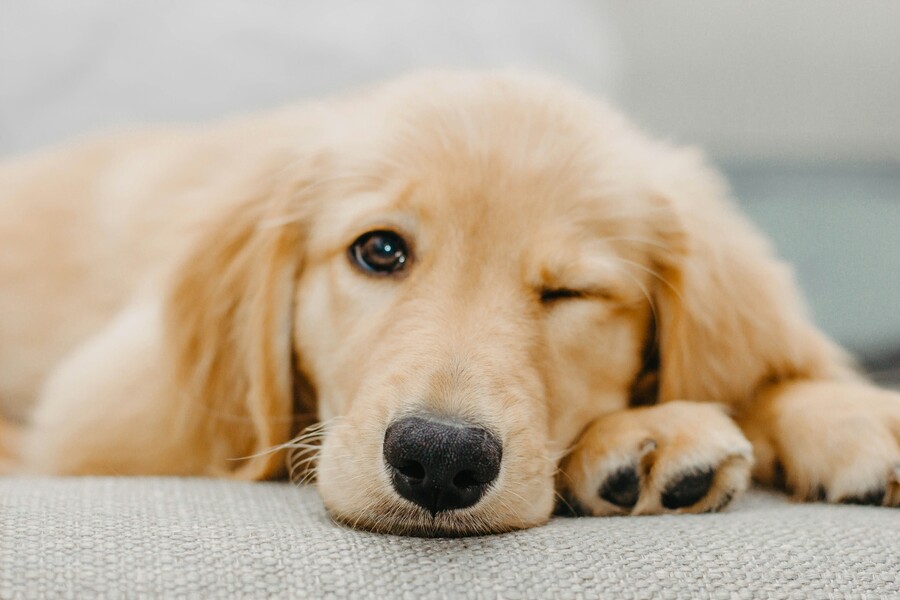 taylor-sondgeroth-ltsKOg_q_Gc-unsplash_ea5e3.jpg