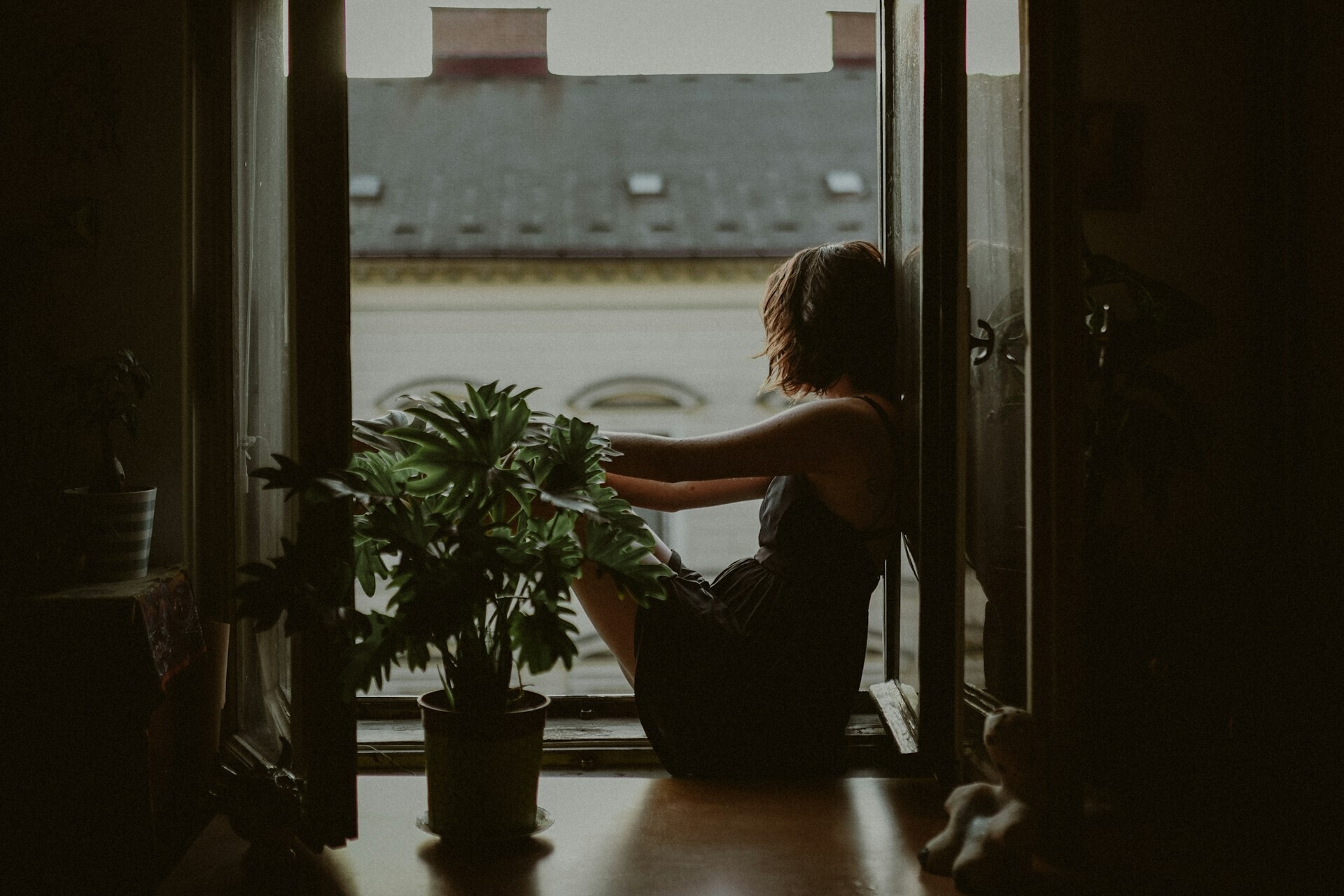 kinga howard WENTRcpFYM8 unsplash b770e