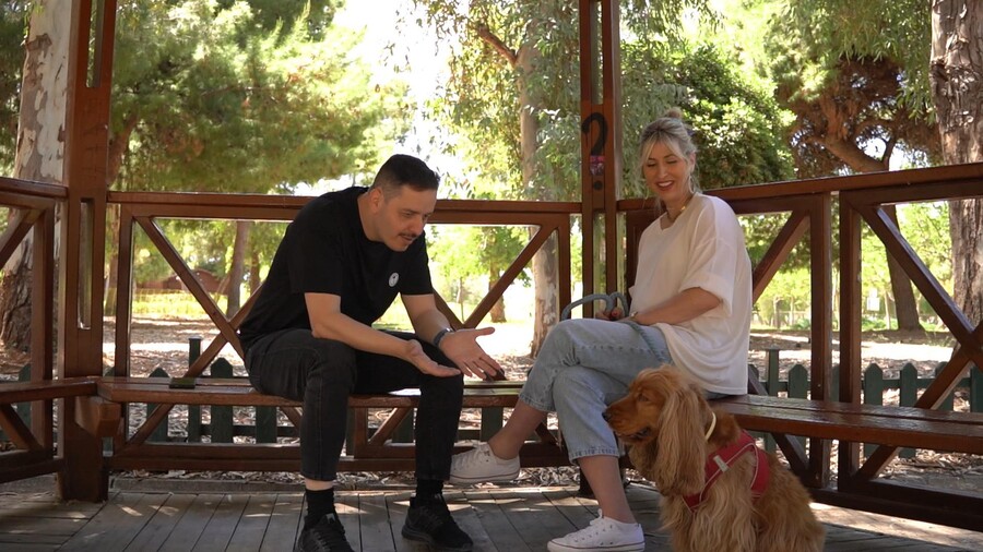 PET_STORIES_13.06_10_d1acf.jpg