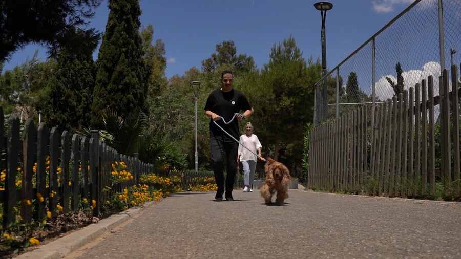 PET_STORIES_13.06_7_af4c4.jpg