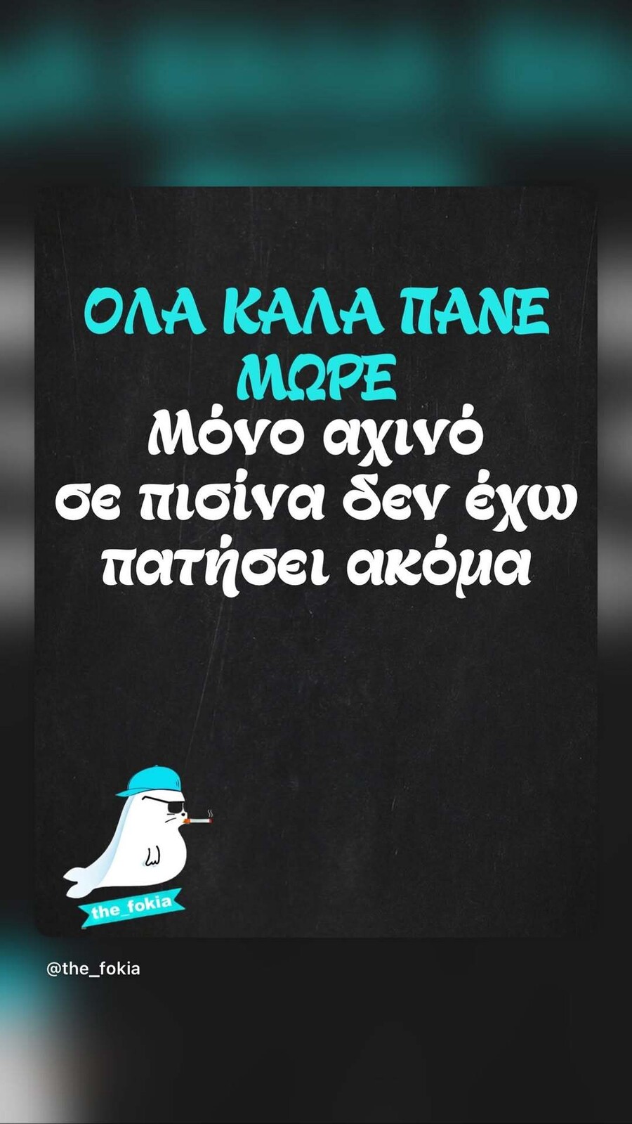 SnapInsta.to_723190787_18231491011315645_2961771494962720229_n_e2859.jpg