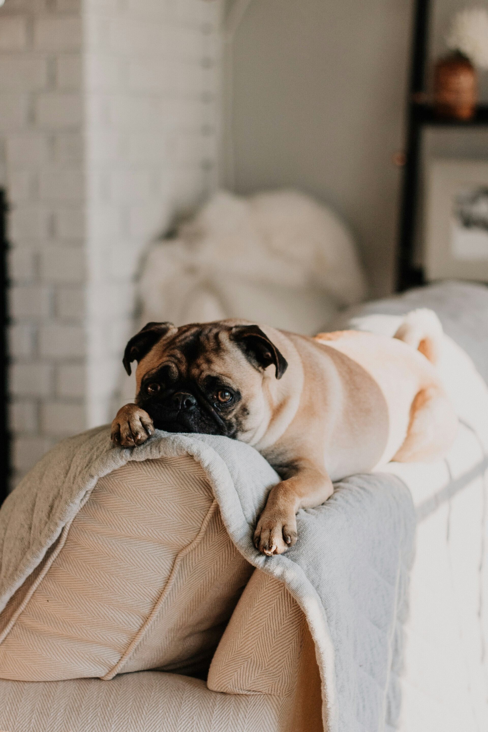 sarandy westfall VYcDFMSkUAA unsplash 6aa17