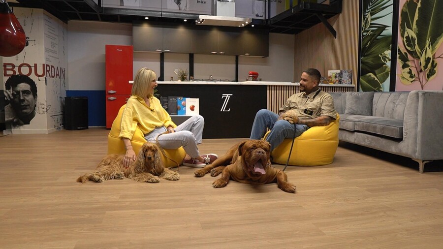 PET_STORIES_20.06_11_ee2f2.jpg