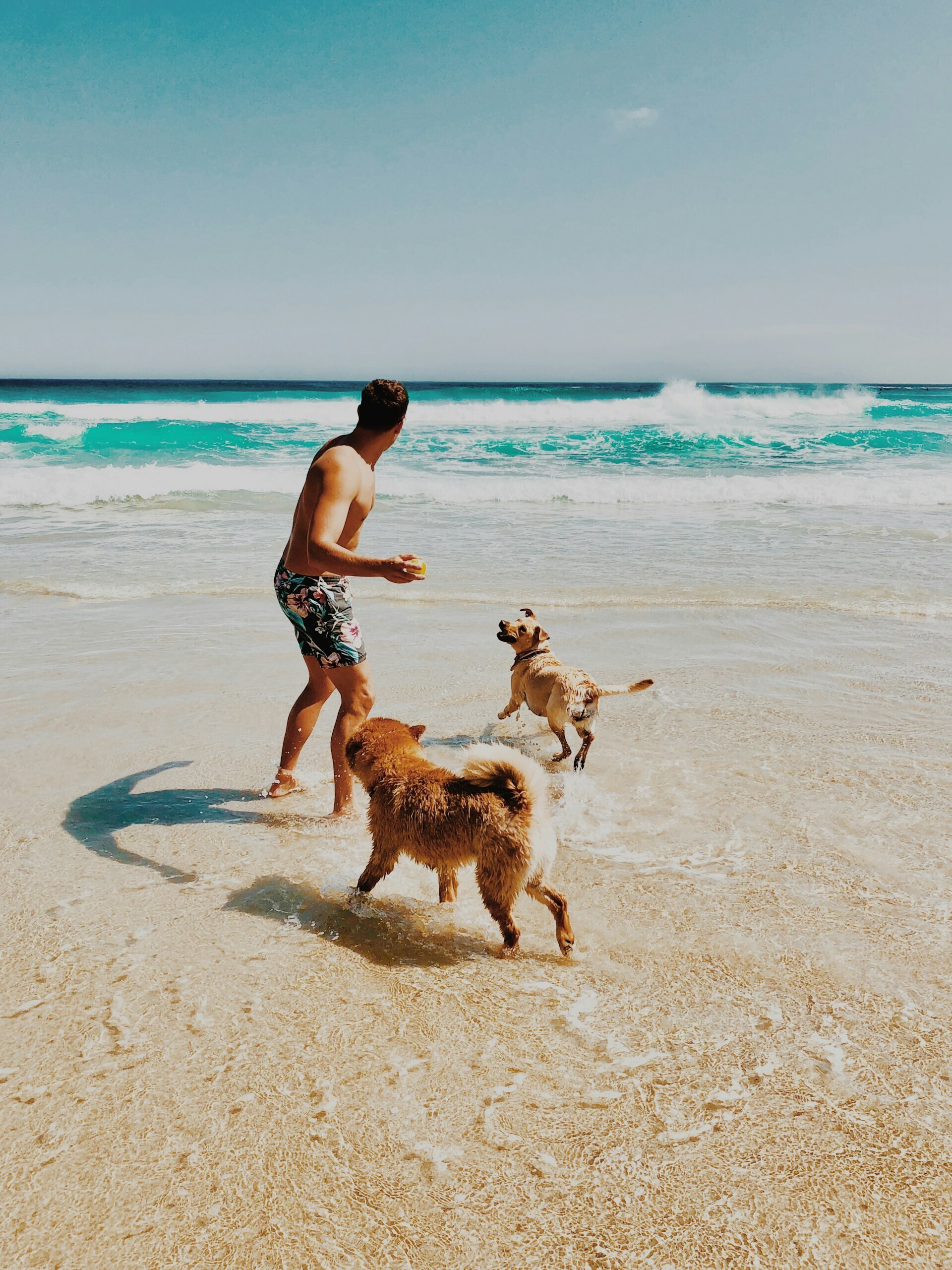 ian badenhorst sFT488ydkm0 unsplash d44fb