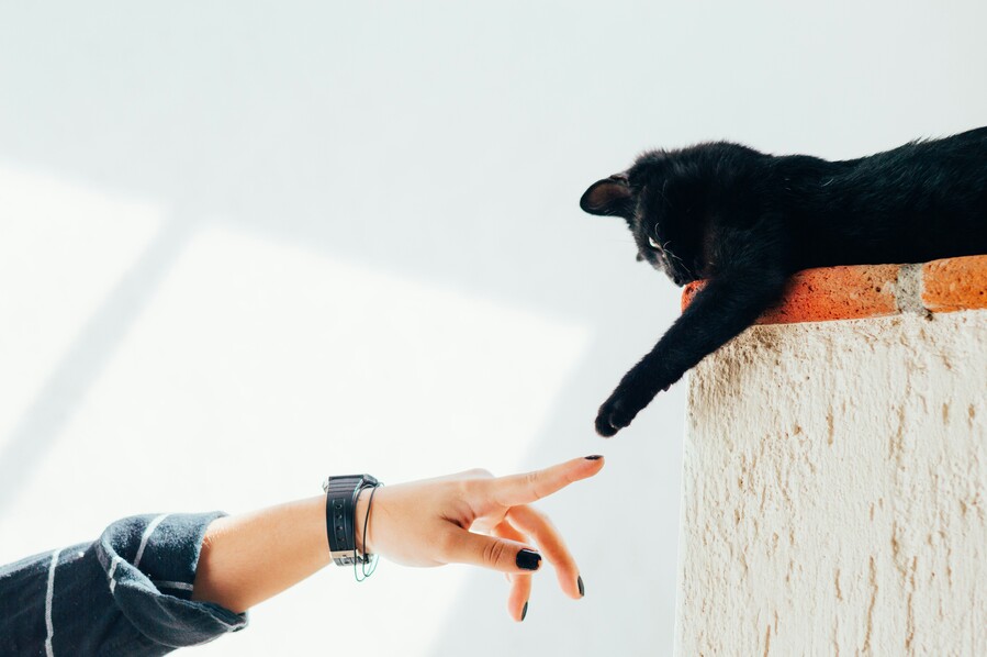 humberto-arellano-N_G2Sqdy9QY-unsplash_91ebc.jpg