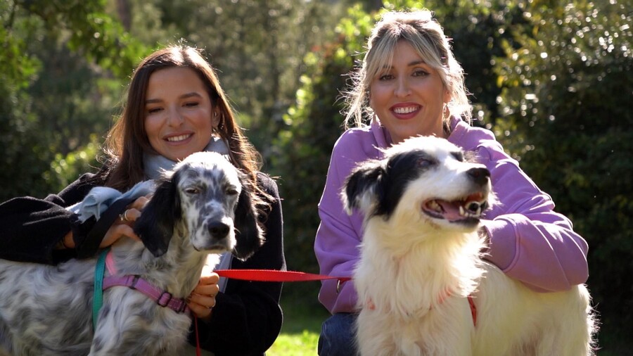PET_STORIES_27.06_14_e7223.jpg