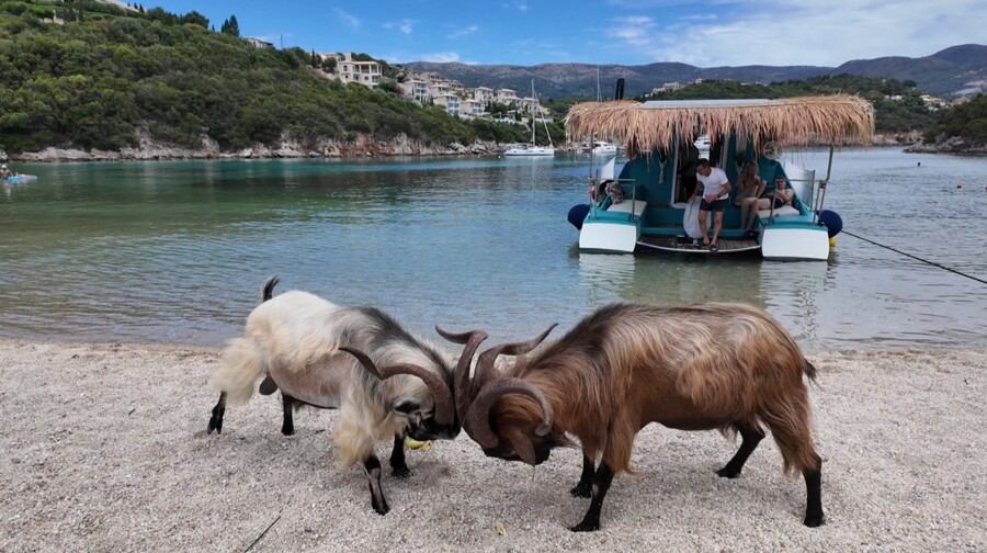ΟΠΟΥ_ΥΠΑΡΧΕΙ_ΕΛΛΑΔΑ_29.06_8_dbd19.jpg