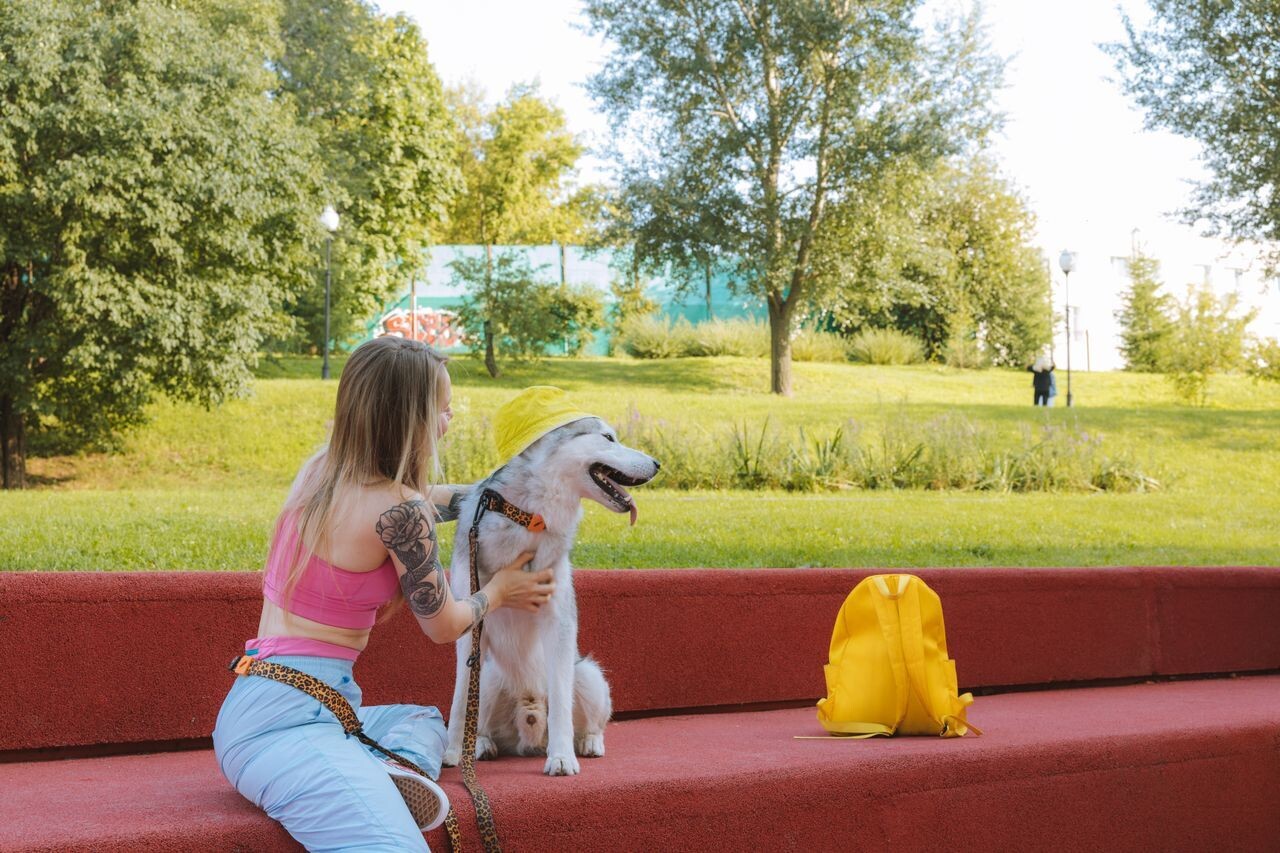 pexels yaroslav shuraev 9632598 1ca7f