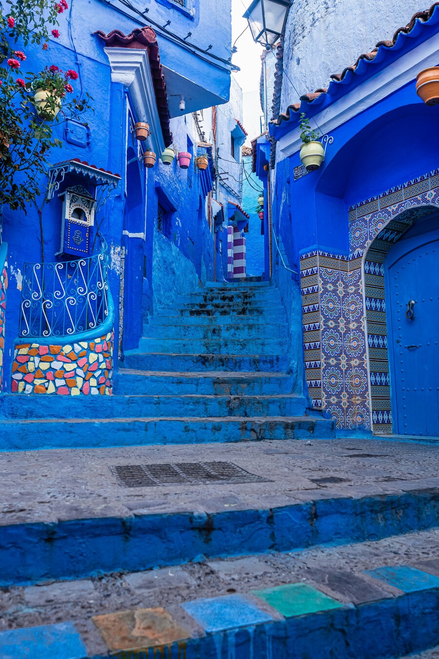 mauro-lima-1SiIhR2uGvo-unsplash_9b3f8.jpg