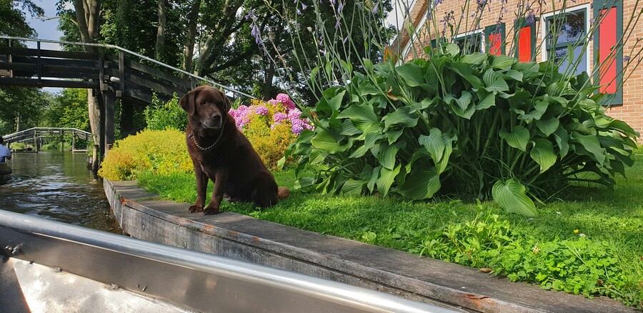 paula-jinga-7nbsqtqvbvu-unsplash_63e91.jpg