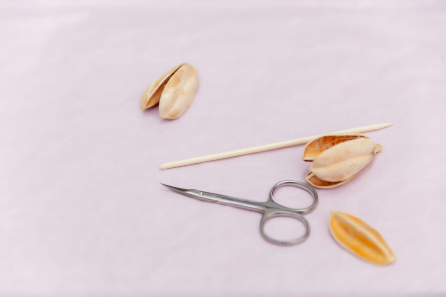 daria-trofimova-h005fckie2c-unsplash_cefe2.jpg