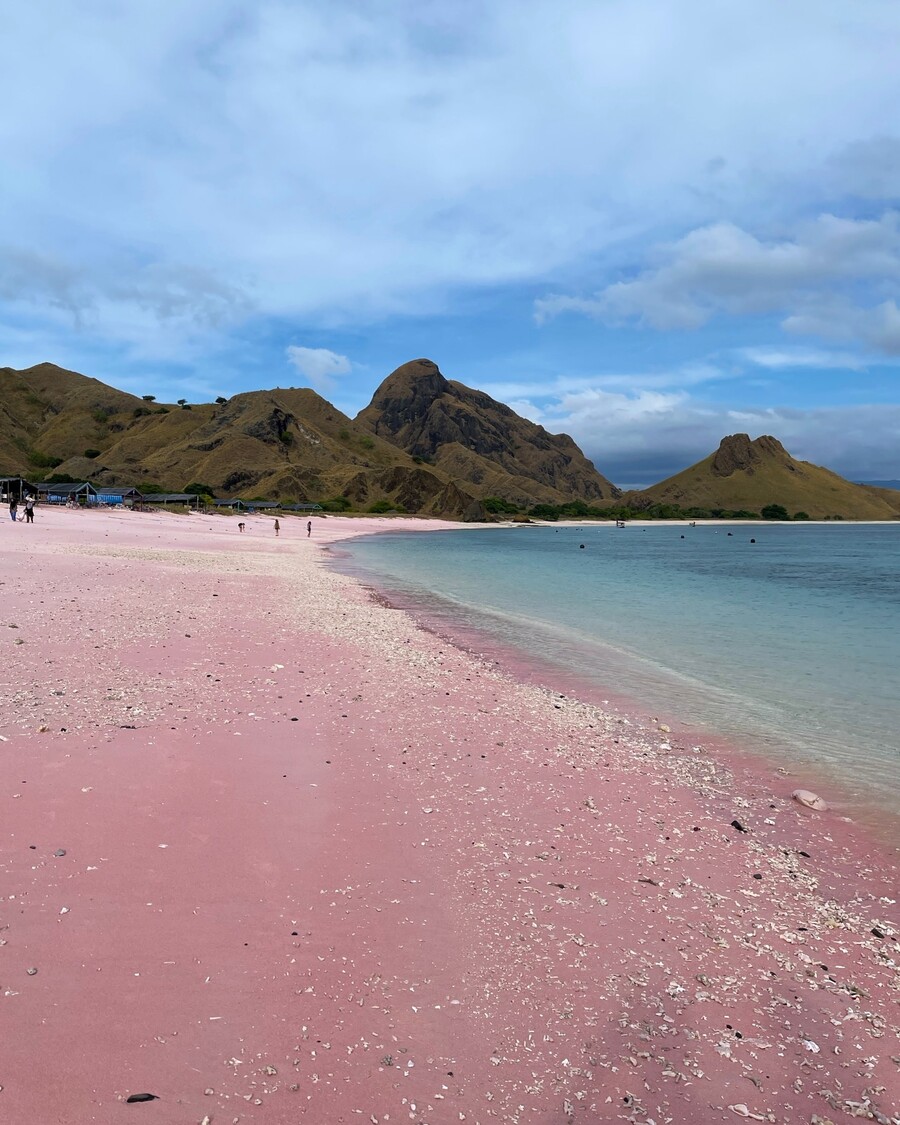 pink_beach_komodo_2_48860.jpg