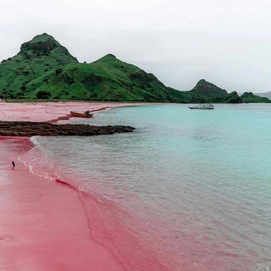 pink_beach_komodo_3_86396.jpg