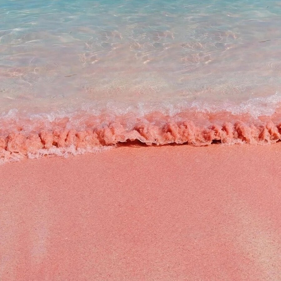 pink_beach_komodo_4_4448b.jpg