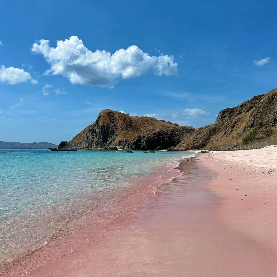 pink_beach_komodo_5_e521e.jpg