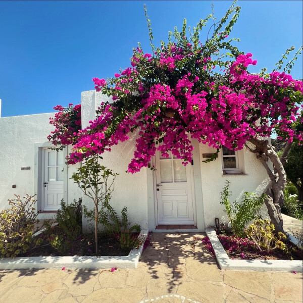 alexandra_pasxalidou_patmos_5_0d764.jpg