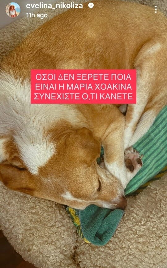 maria_xoakina_1_0a340.jpeg
