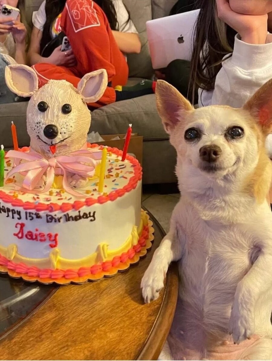 daisy_quinceanera_4_7abd6.jpg