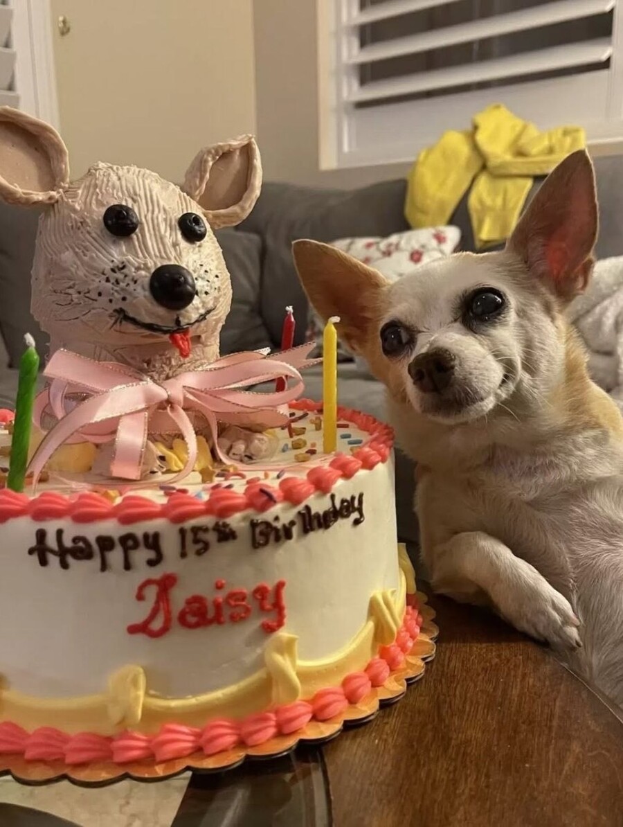 daisy_quinceanera_5_8aeb2.jpg