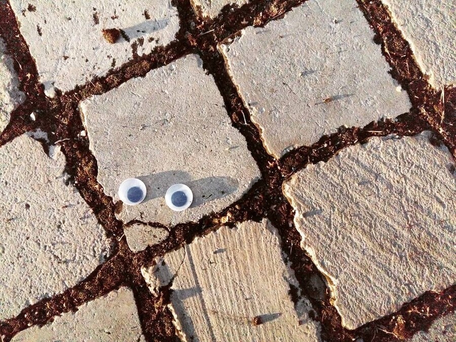eye_bombing_bulgaria_12_34e42.jpg
