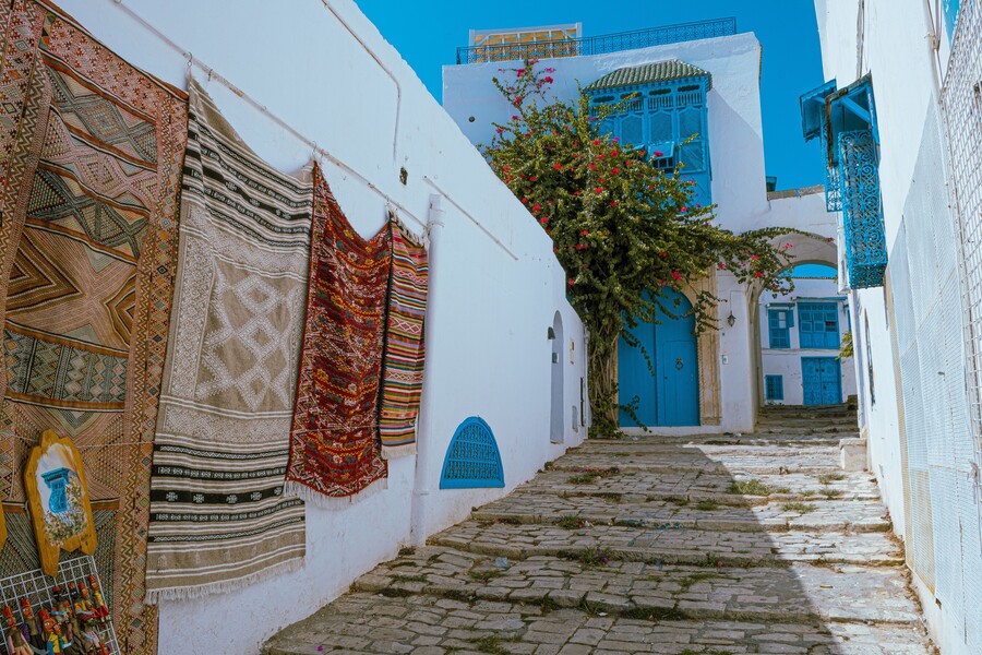 pexels-mahmoud-yahyaoui-27622075_e8a1f.jpg