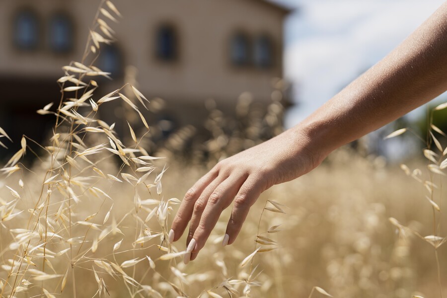close-up-hand-touching-plant_c42afcc2a692e763.jpg