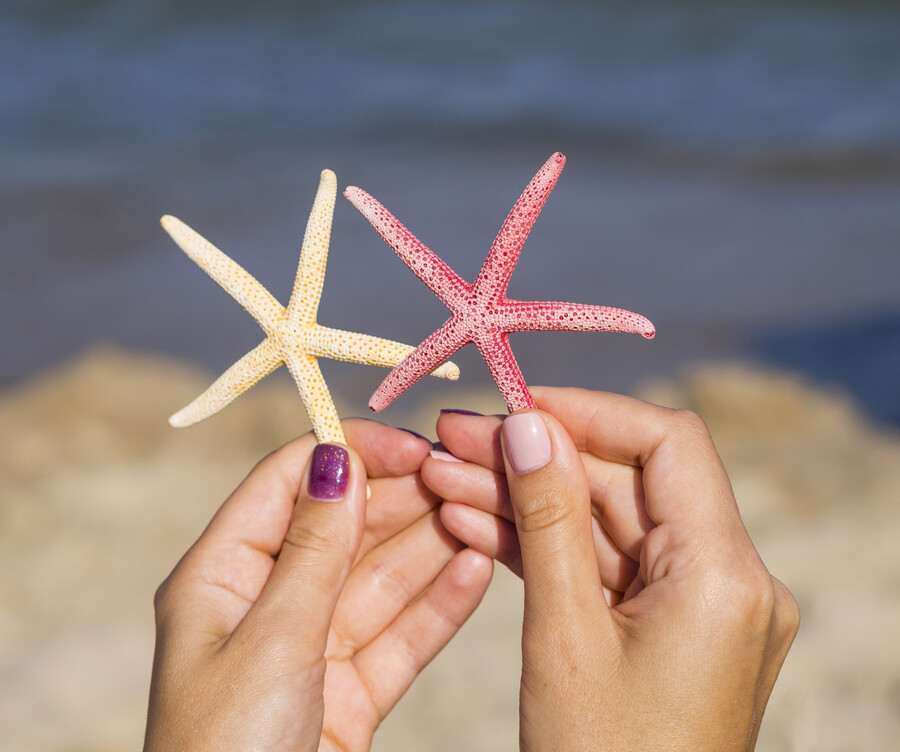 close-up-starfishes-being-held-sea_504cc176892b1076.jpg