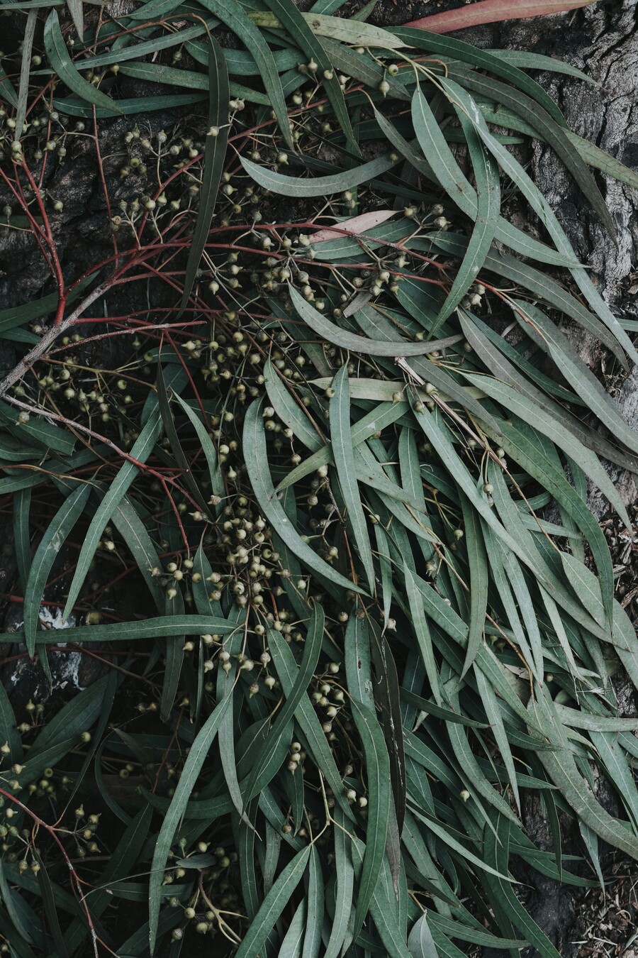 anya-chernykh-wjfgn8cxuwo-unsplash_69ed73b0acba5882.jpg
