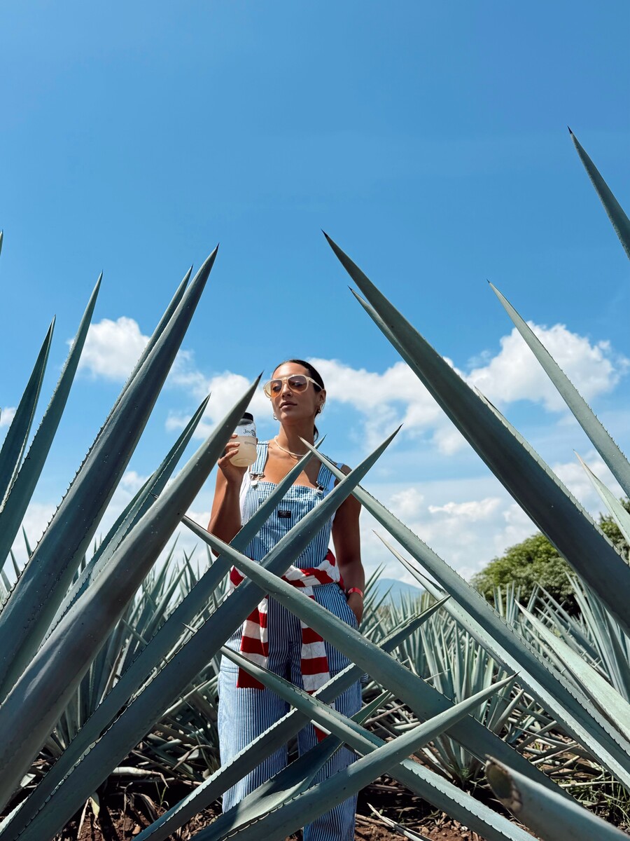 moutsinas_samara_tequila_10_c6bcbea335417300.jpg