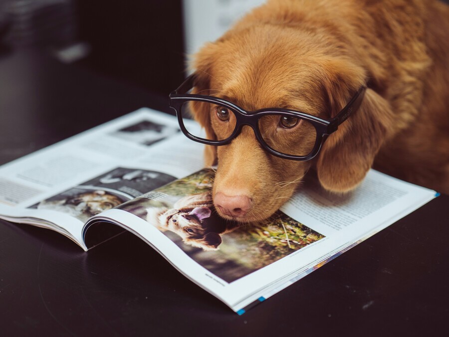 jamie-street-modcnvrn5ju-unsplash_ff805e7acd11f3de.jpg