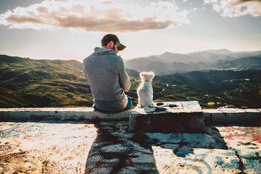 xan-griffin-ucfgm_aojfg-unsplash_5e8a2aad6c98658d.jpg