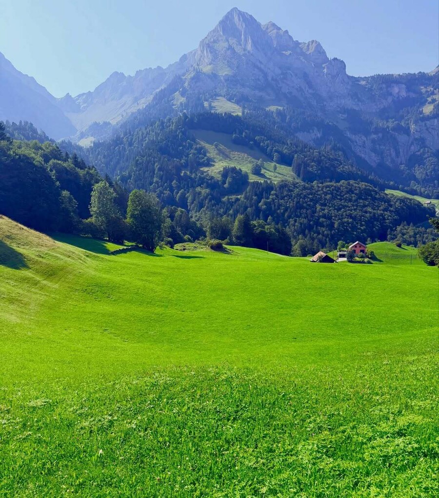papazissis_pantoussi_elvetia_road_trip_7_dfd562b75842244f.jpg