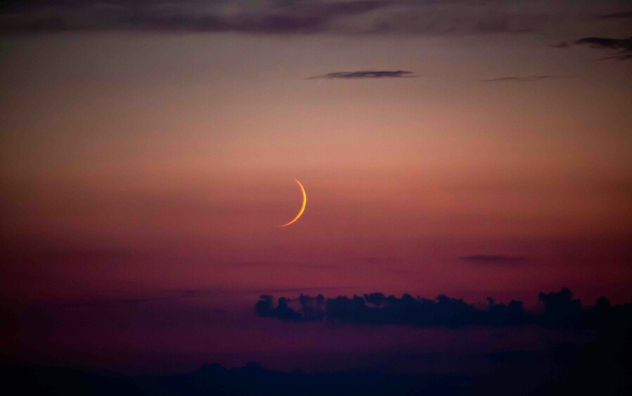 bernd-dittrich-bni3tdoou9g-unsplash_c6e1e61917f890db.jpg