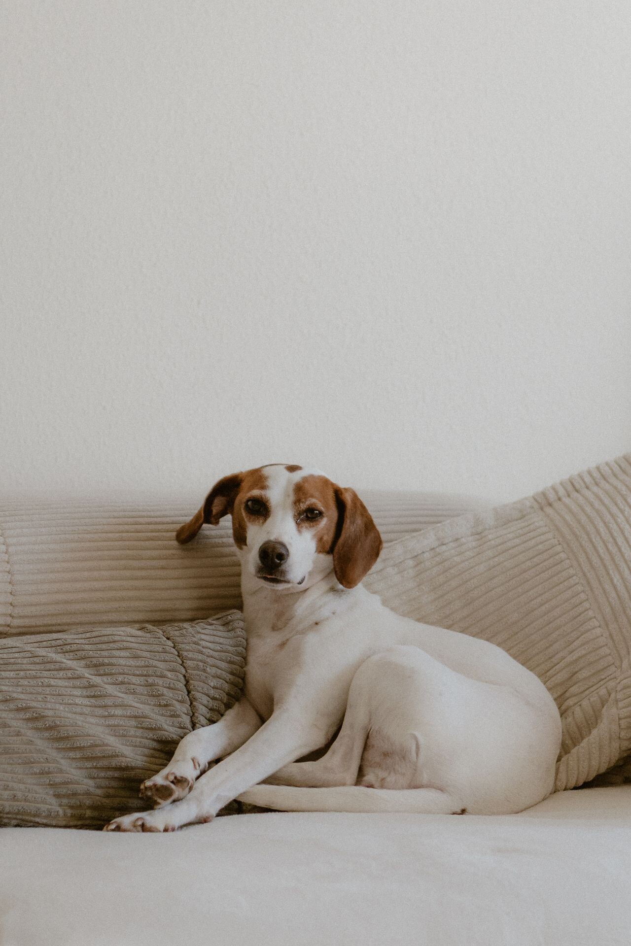 pexels andreasebnerfotografie 36771619 cdf1cb4c0d6c8e78