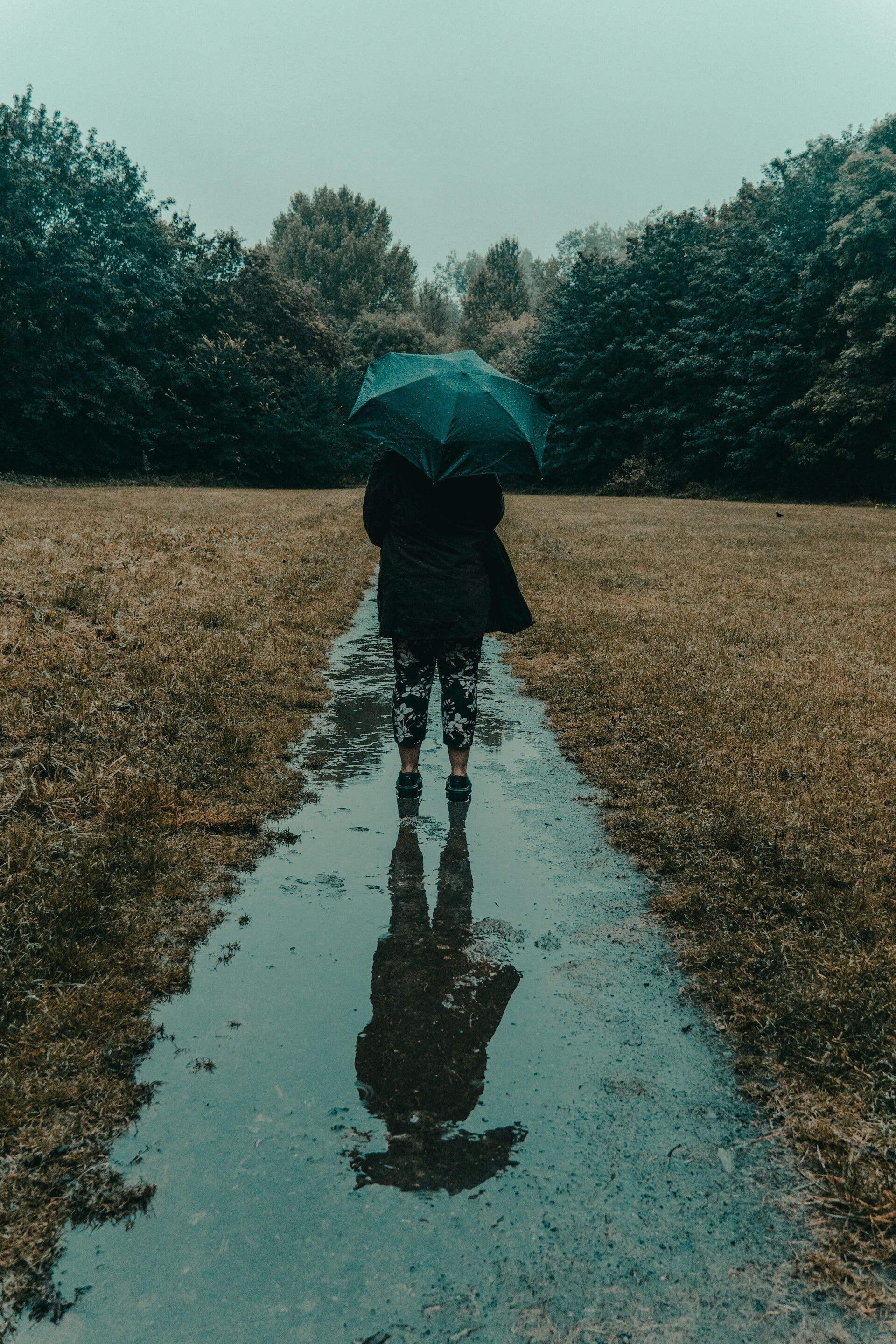amy gatenby of96twnjooa unsplash 0ba3c63dcb94ddbc