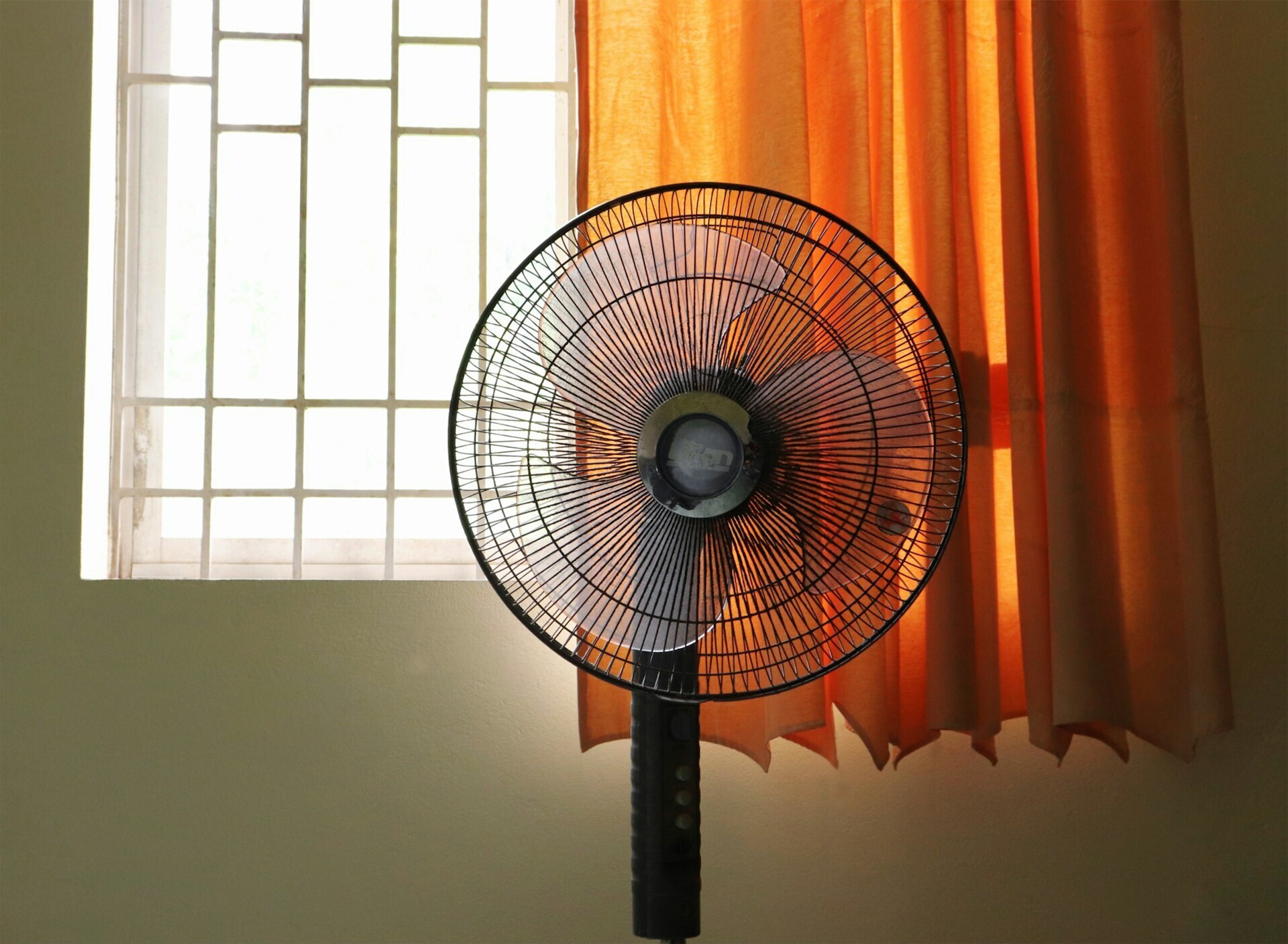 duy duy nc4k nhnnxg unsplash 54b75b66cfa4b248