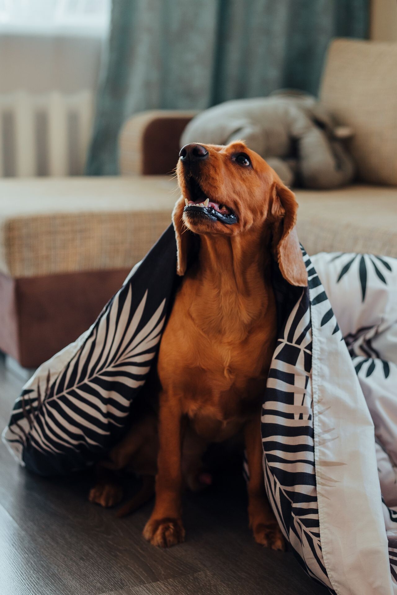 pexels babydov 7788603 0240e9ff0232c687