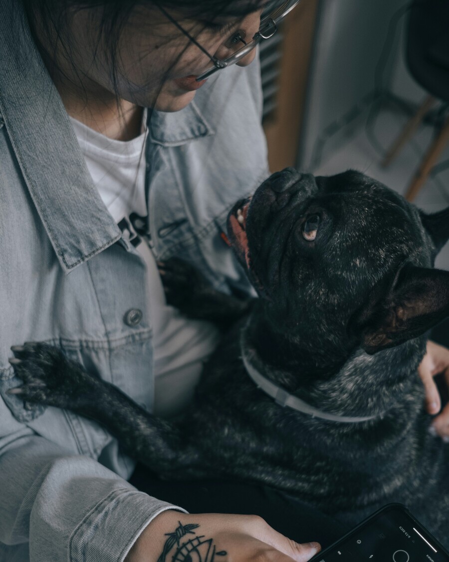 thamara-maura-wa-6tsv2_fc-unsplash_175b71714362d1b2.jpg
