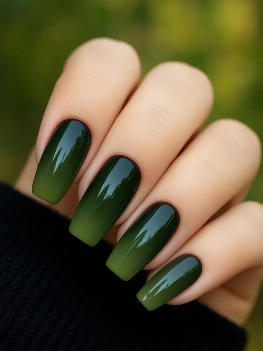 ombre_nails_1_114d23391a248fde.webp