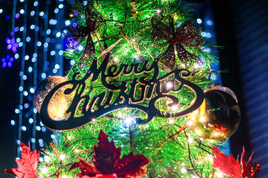 ricky-lk-owsyjn6_yw4-unsplash_1a9ab78e89dc052b.jpg