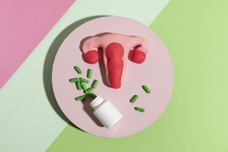 top-view-women-reproductive-system-pills_8ff7f742106272c2.jpg