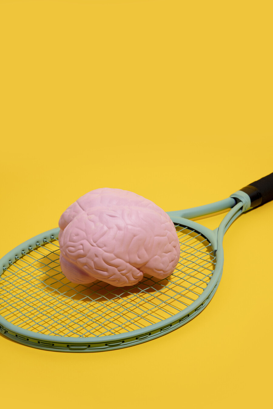 still-life-with-human-brain_d5f6ae62a5713ac9.jpg