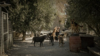 Ο «Takis» στο Φεστιβάλ Ντοκιμαντέρ CineDoc 2025-26