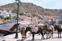 Διακοπές χωρίς αμάξι: 5 νησιά που τα γυρνάς με τα πόδια και όχι με... νεύρα!