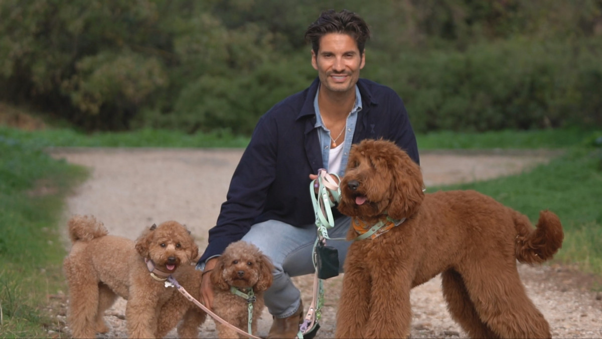 Pet Stories: Στην παρέα μας, ο Γιώργος Καράβας, ο Ζίνο, ο Τσίκο και η Φρέγια