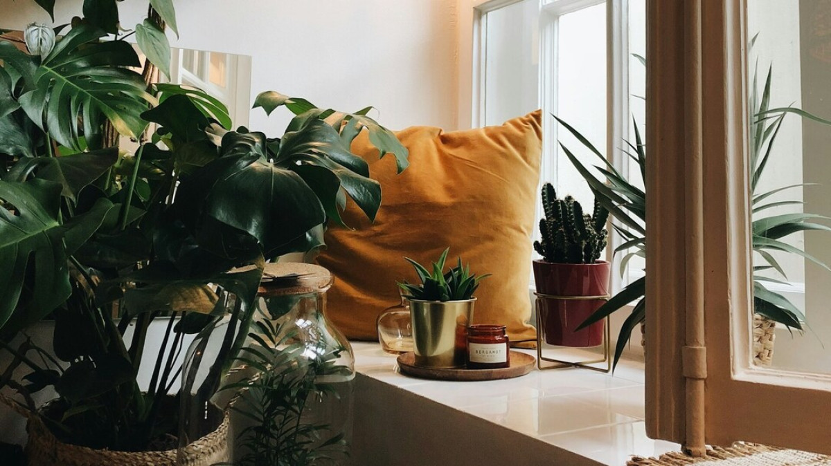 Δώσε ζωή στα φυτά σου: DIY γλάστρες από παλιά αντικείμενα