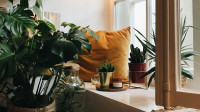 Δώσε ζωή στα φυτά σου: DIY γλάστρες από παλιά αντικείμενα