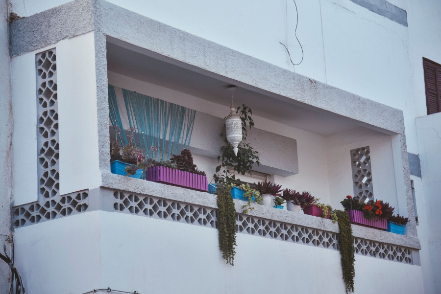 Οι 6 συμβουλές μας για μια ανθισμένη βεράντα όλο το καλοκαίρι