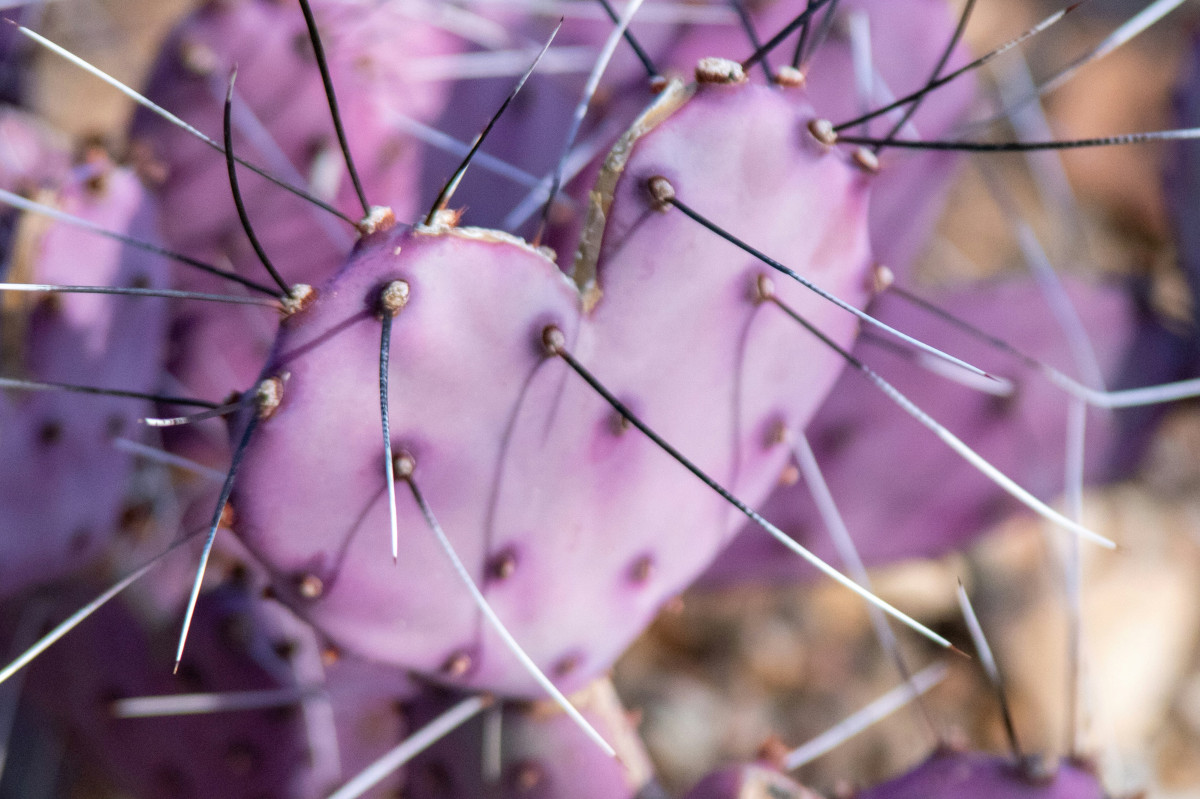 Υπάρχει άραγε εξήγηση που –σχεδόν– πάντα θέλουμε αυτούς που δεν μας θέλουν;
